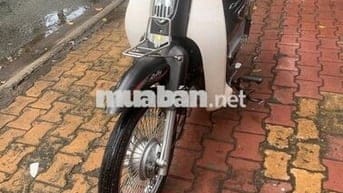 Cub 50 cho học sinh