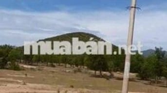 đất mặt tiền gần quốc lộ 1a xã phong phú huyện tuy phong