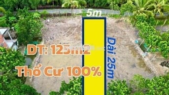 Đất Nền Thổ Cư 100% Lộ Nhựa Giá Rẻ