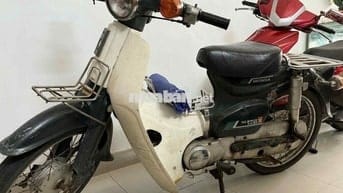 xe cub 50