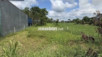 Ấp Sò Đo, Thị Trấn Hậu Nghĩa, Đức Hòa, Long An Giá: 2ty4 triệu bớt lộc