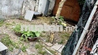 (85M2) ĐẤT NỞ HẬU, NGANG 5,9M NGUYỄN VĂN LƯỢNG, P17, GV, GIÁ 4.3 TỶ TL