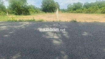 Bán đất lớn 1.314m² Phú An – Mặt tiền ĐX049, giá chỉ 3,19 Tỷ