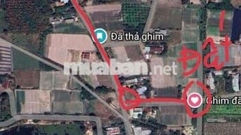 Cần bán đất Bàu Công, Hậu Nghĩa, Tây Ninh gần Vin 930ha