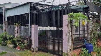Cho thuê nhà cấp 4 dt300m2 Tân Thắng, gần KDC Biconsi