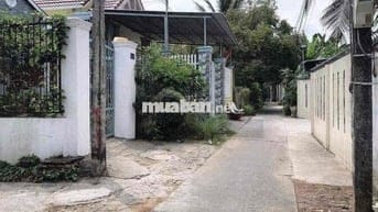 NHẬN CHÍNH CHỦ ĐẤT NỀN ĐƯỜNG VƯỜN ỔI PHƯỜNG 3, TP VĨNH LONG