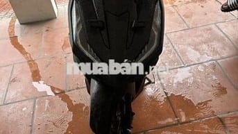 Vario 2024