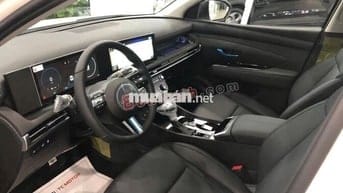 Hyundai Tucson đặc biệt
