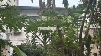 80m2 đất Thuỵ Phương, đường to thoáng rộng, vị trí trung tâm