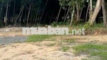 Đất Hòa Bắc- 400m2- có 260m2 đất ở