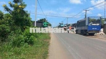 Bán xưởng _ mặt tiền nguyễn Hoàng