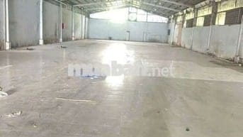 Xưởng cho thuê Xuân Thới Sơn hóc môn giá 55tr có pccc