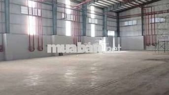Xưởng cho thuê trong KCN xuyên Á Mỹ Hạnh Long An
