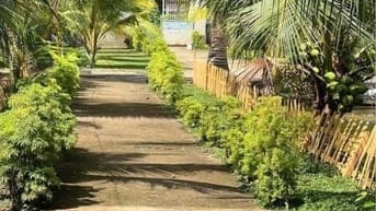 Siêu phẩm đất thổ vườn 330m2 đất ODT Cách Co.op mart Trảng Bàng 500m