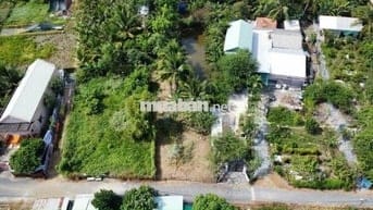 241m2 thổ cư đường nhựa 5m sát thị trấn Cần Giuộc