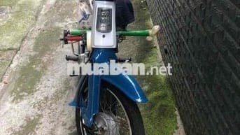 Xe Honda Cub 81