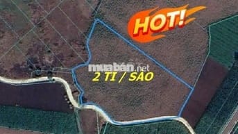 Bán đất 2 tỉ/sào CHÍNH CHỦ - Xã Láng dài - Bà Rịa Vũng Tàu