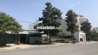 Cho thuê nhà nguyên căn 100m², 2PN – Đường 15m, Phú Tân, Thủ Dầu Một
