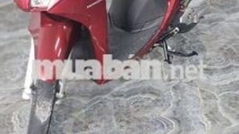 Xe honda vision bs 65