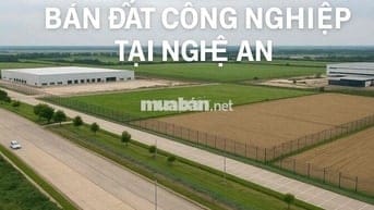 🚀 ĐẤT CÔNG NGHIỆP – TMDV NGHỆ AN, GIÁ TỐT, SỔ SÁCH RÕ RÀNG 🚀