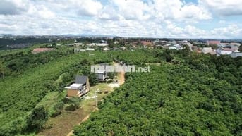 Đất chính chủ 590m2 hai mặt tiền trung tâm khu dân cư Bảo Lộc