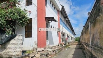 Cho thuê kho xưởng 2.400m2, trong KCN Tân Tạo, Bình Tân, PCCC tự động