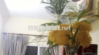 Cho thuê căn hộ Lê Thành Mã Lò 41m2 có ban công