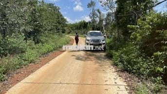 Đất thổ cư tại Đắk Nông, giá 330 triệu, diện tích 200m2