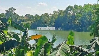 NGHỈ DƯỠNG VIEW HỒ TOÀN PHẦN NGÕ ÔTÔ DT 383,9M TC 120M MT 13M GIÁ 8TỶ