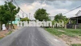 Bán đắt mặt tiền nhựa 6m . Xã Nhị Thành , Thủ Thừa , Long An 3.500 m2