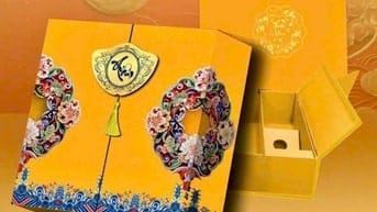 Thiết kế, in, gia công túi giấy, hộp giấy, hộp carton