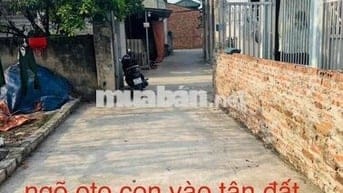 Đất nền Thanh Oai- Sổ đỏ chính chủ