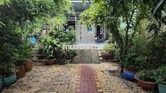 MẶT BẰNG KINH DOANH 260m2 ĐƯỜNG HUỲNH BÁ CHÁNH, XÃ TÂN NHỰT