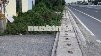 cần bán đất nền diện tích 254m2