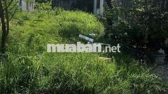 Đất thổ cư 160m² Tân Long, cách biển 1km, chợ Lagi 500m, đường ô tô
