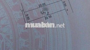 Bán đất-Xuân Bách (Xã Quang Tiến-SS ) – 121,2m²- 4,15 Tỷ- Full Thổ Cư-