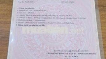 Đất thổ cư .diện tích 200m2 . thổ cư 100. mặt tiền đường nhựa
