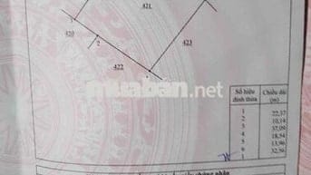 Đất trông cây Thanh Bình, Trảng Bom, Đồng Nai