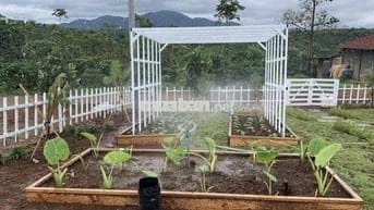 Ngộp vốn cần bán gấp lỗ lại 400m2 view đồi tặng vườn tiểu cảnh 590tr