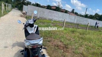 *** ĐẤT NỀN MỸ HOÀ - MỸ PHONG ( cách quãng trường 3km)