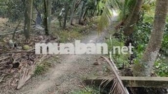 Đất sổ hồng 2132m2 ở Thị xã Cai Lậy Tiền Giang