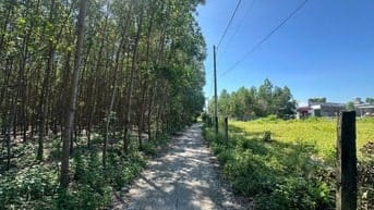 Bán 5x27(135m2) 62m2 Tc Hẻm Lý Nam Đế Tân Phước LaGi Giá 650 Triệu