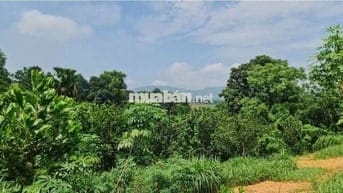 Bán đất Minh Hồng, Minh Quang, Ba Vì 2020m, lô góc, mt lớn, oto, 3.1tỷ