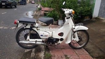 50c ko cần bằng lái
