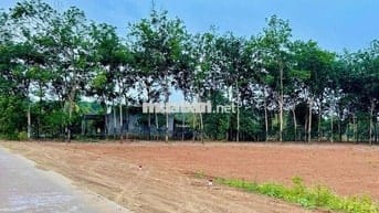 Đất giá rẻ 290 triệu mặt tiền đẹp Long Hà, Bình Phước (Đồng Nai)