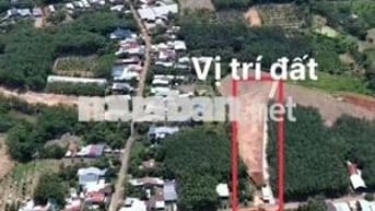 Bán đất 300m vuông có 100m thổ cư ( phủ hồng toàn bộ ) giá tổng 438tr
