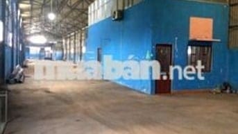 Bán kho xưởng 1.350m² full nội thất, mặt tiền Nguyễn Thị Rành , Củ Chi