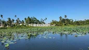 Cần tiền bán nhanh lô đất điện bàn đông- đà nẵng