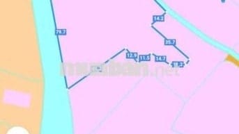 chính chủ bán 4857 m2 đất  Dương Xuân Hội, Châu Thành, Long An.