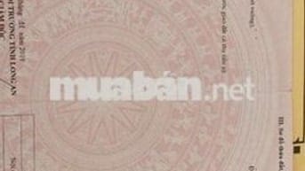 🔥 BÁN ĐẤT CHÍNH CHỦ – PHƯỜNG 7, TP. TÂN AN – HẺM 83 NGUYỄN VĂN RÀNH 🔥